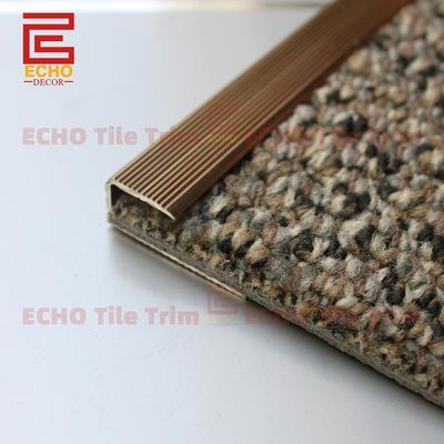Bordure de tapis en aluminium, bordure de bord métallique pour tapis, 3 m sur béton